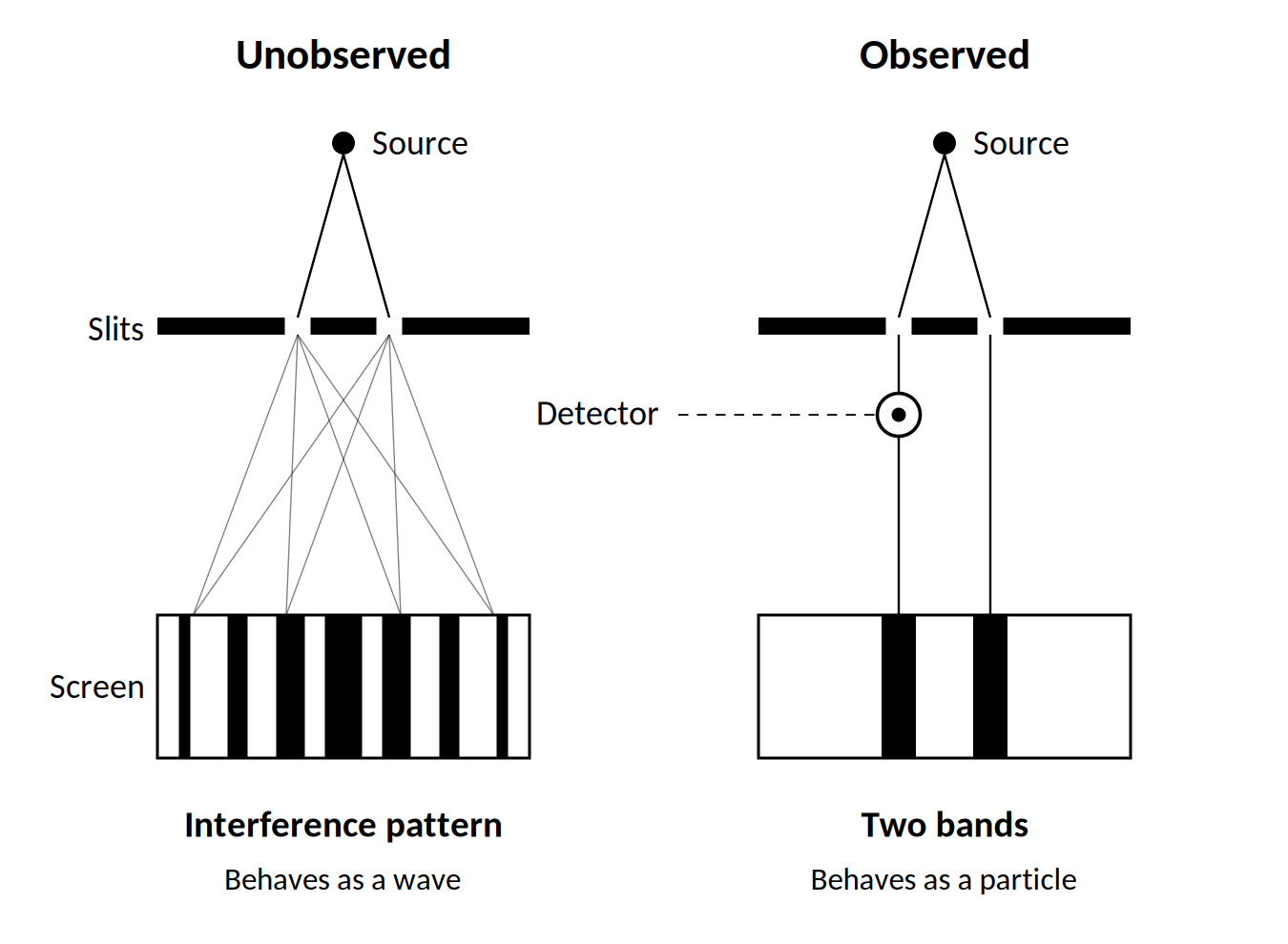 The double slit experiment. Unobserved, particles pass through both slits and form an interference pattern. Observed, they pass through one slit and form two bands.